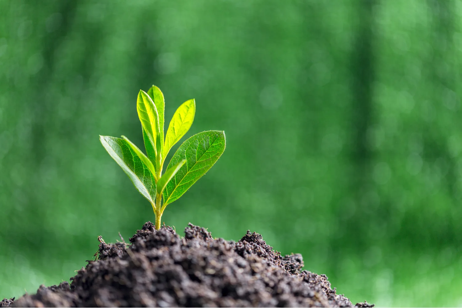 GW-Umwelt-1